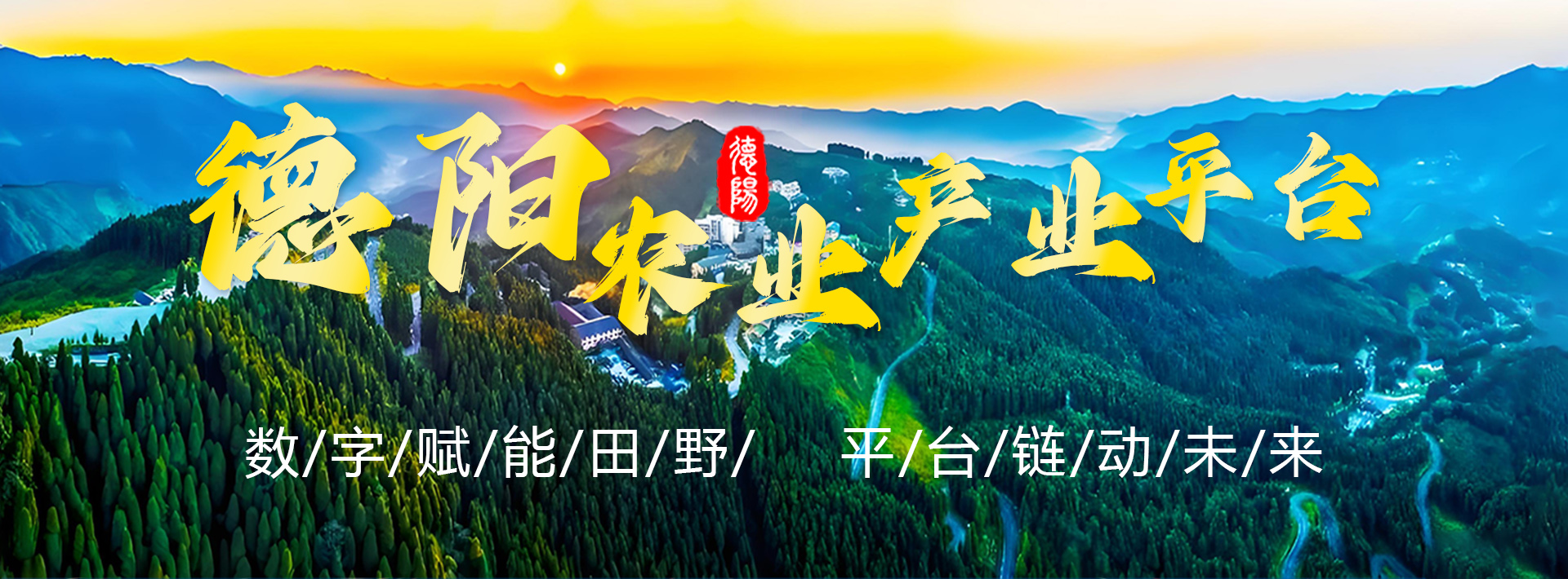 图片错误