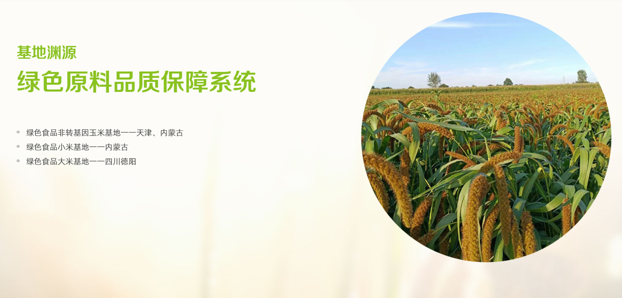 暂无图片