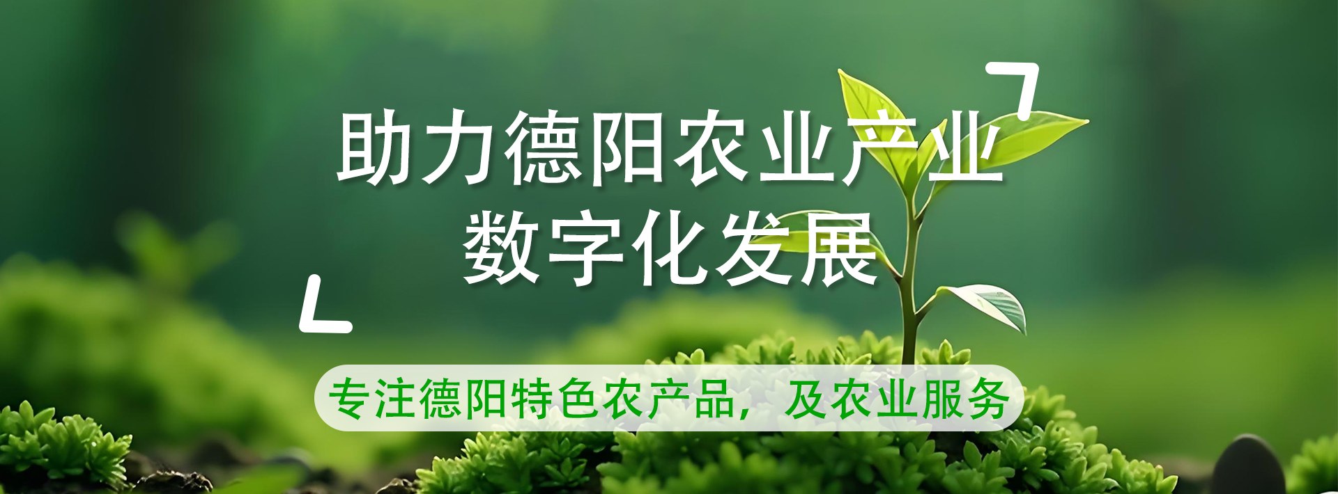 图片错误