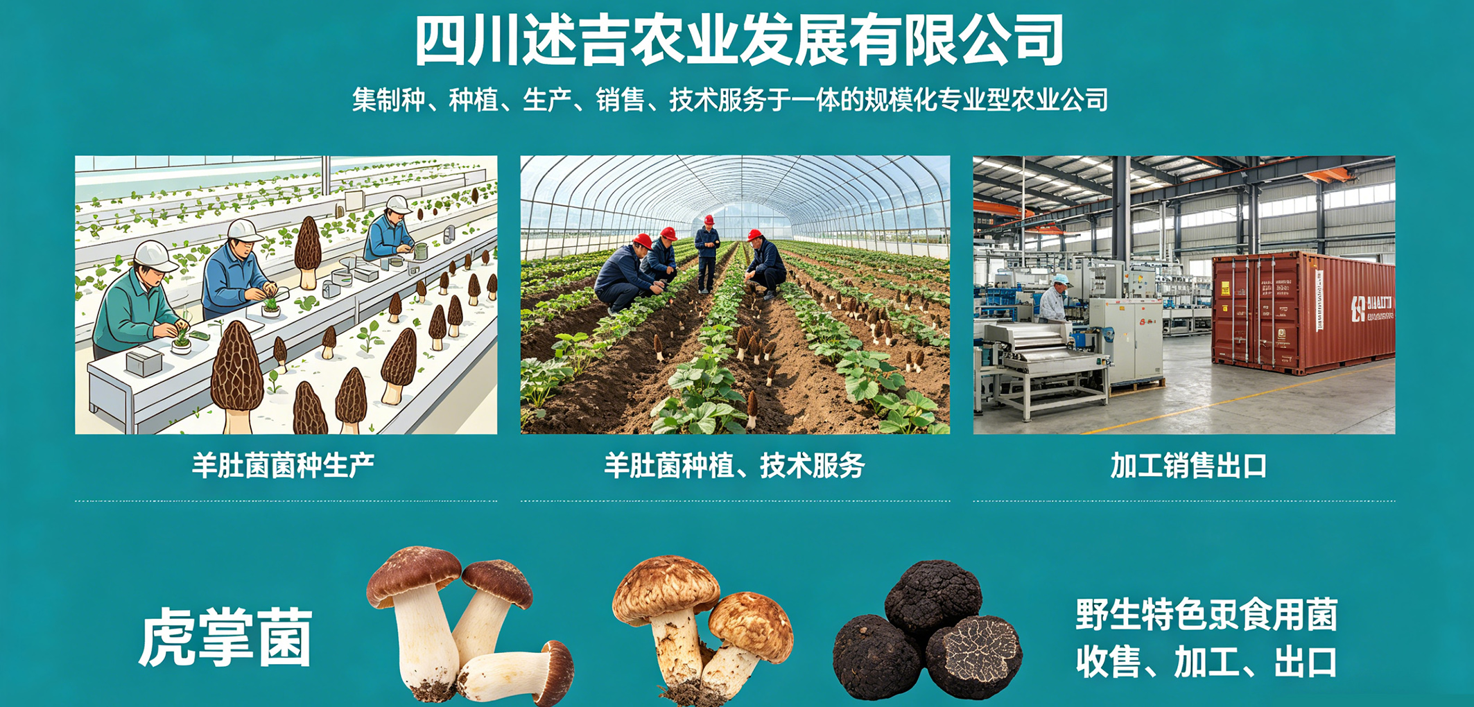暂无图片