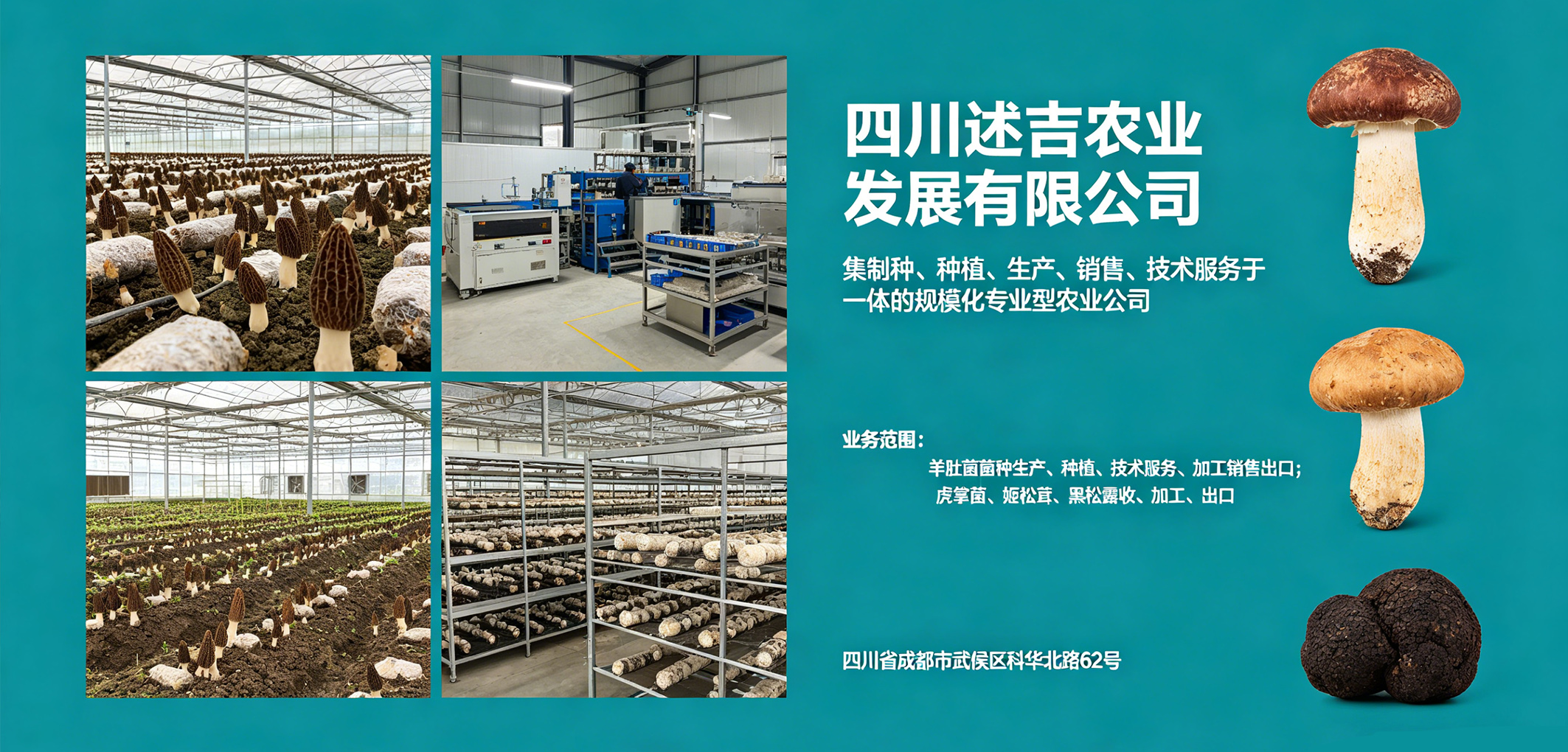 暂无图片