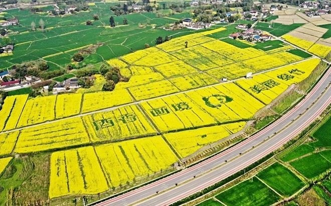 德阳农业产业平台——四川德阳粮食稳产增收底气足