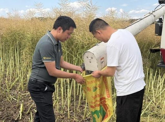 德阳农业产业平台——破解油菜炸荚难题 新型油菜防炸荚农用粘合剂在川测产成功