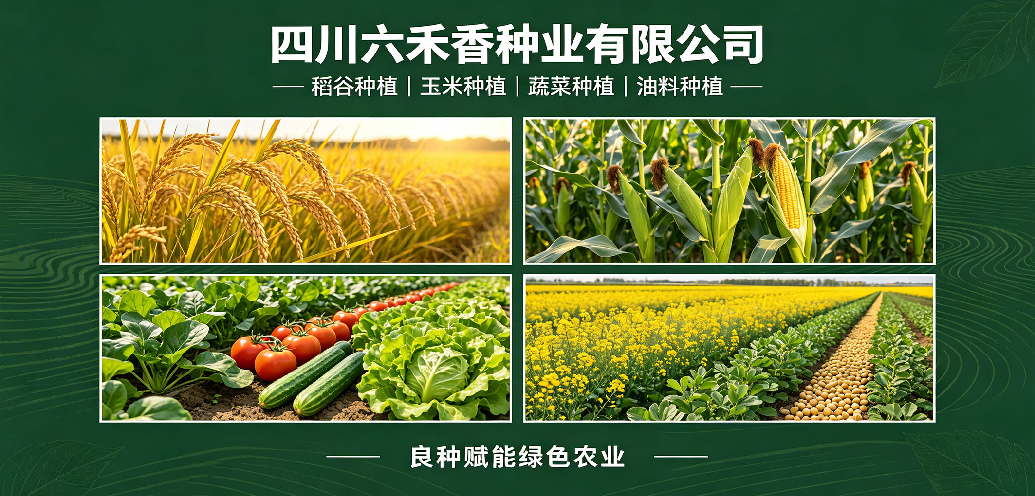 暂无图片