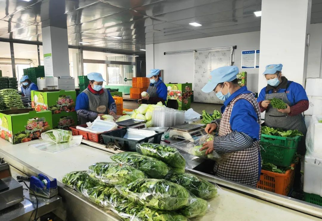 德阳农业产业平台——走出国门！德阳这家农场的蔬菜卖得好火爆