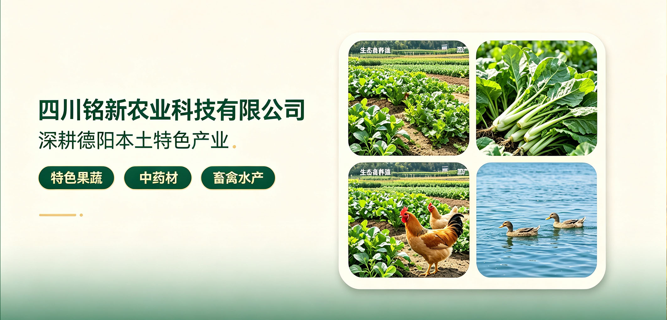暂无图片