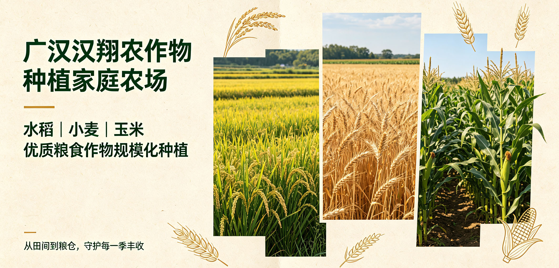 暂无图片