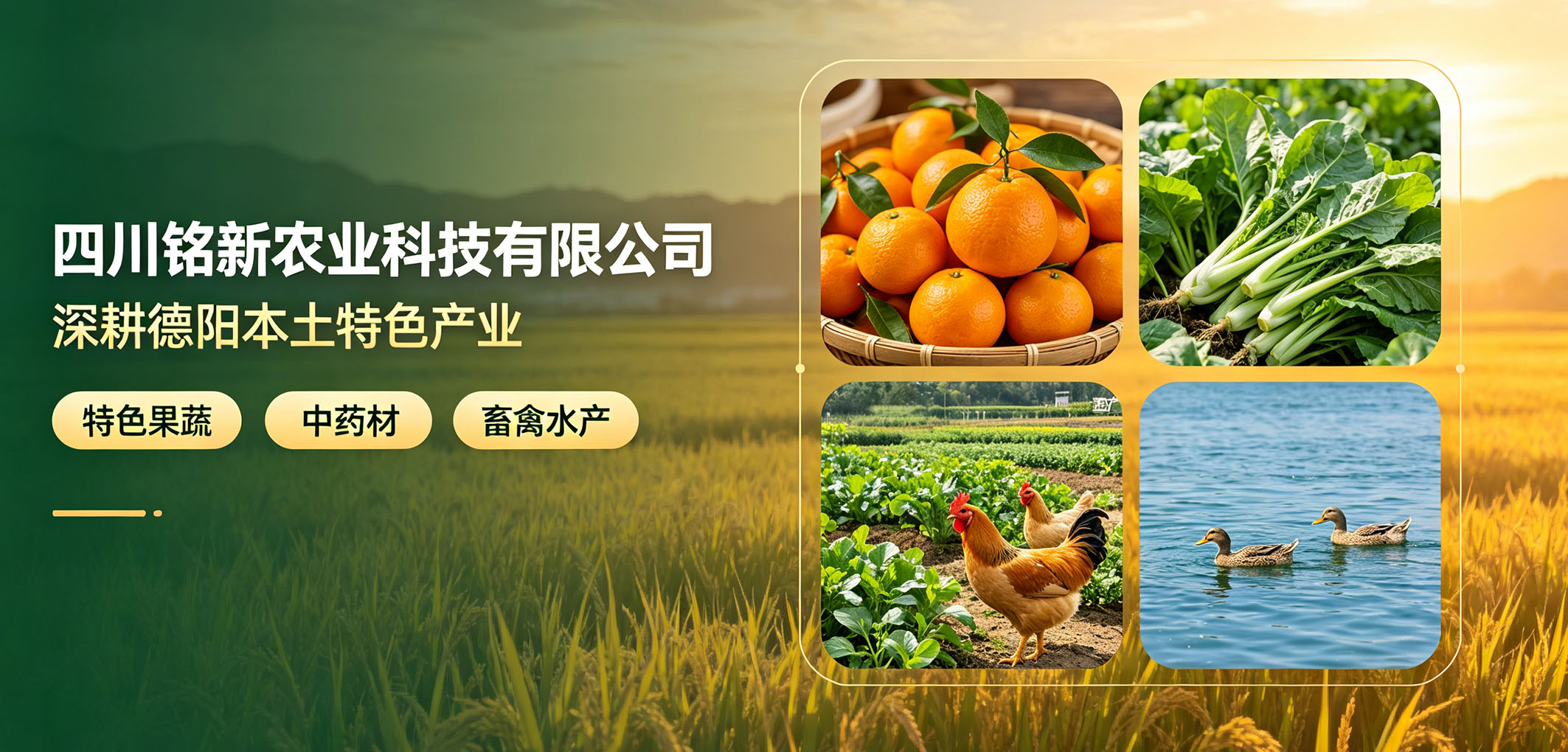 暂无图片