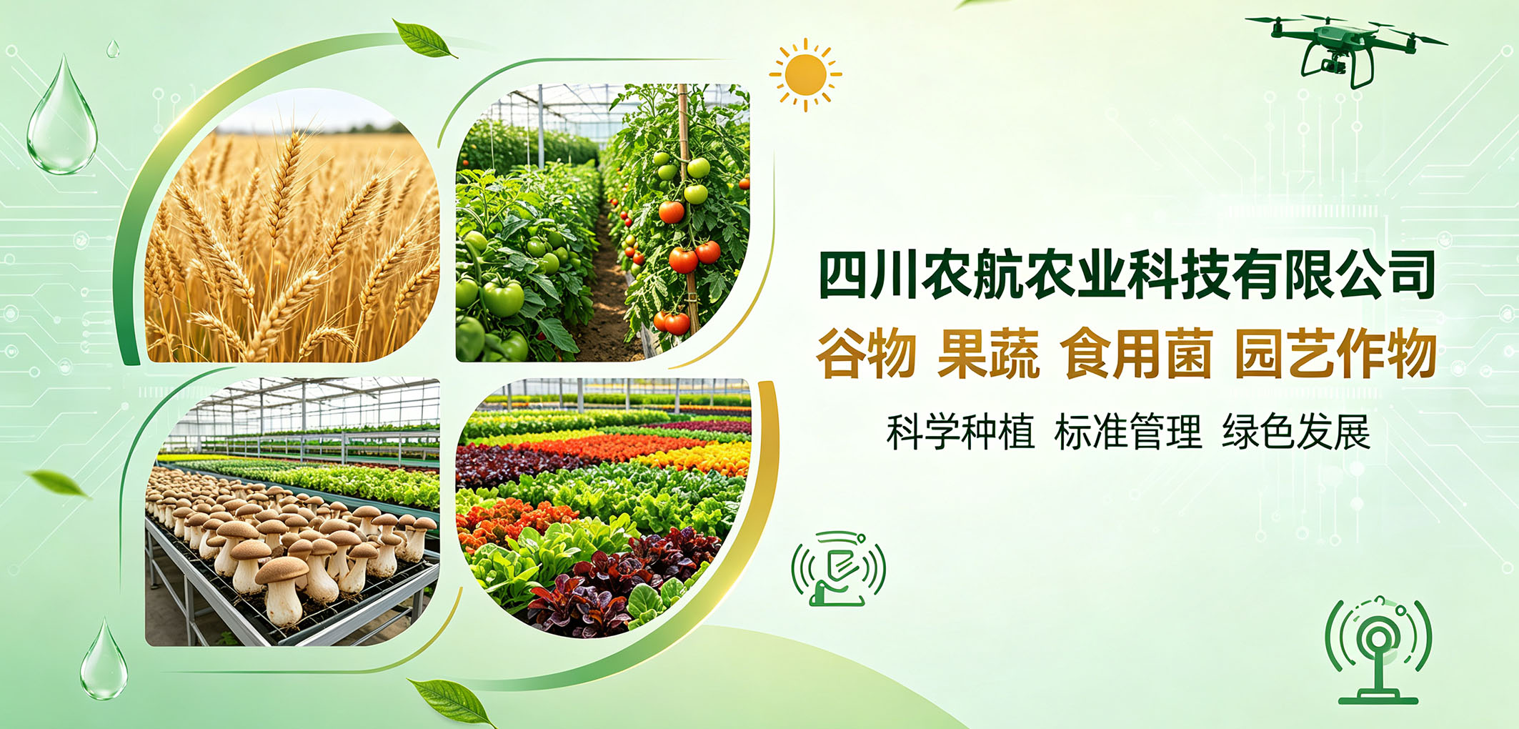 暂无图片