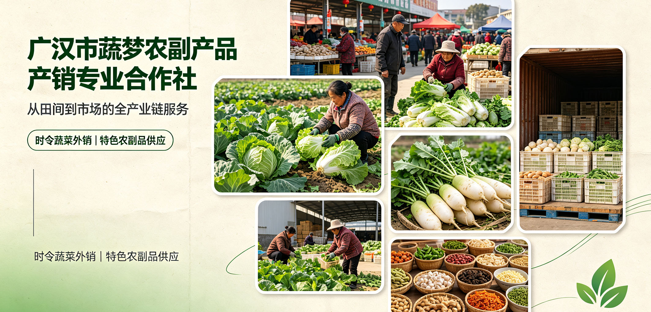 暂无图片