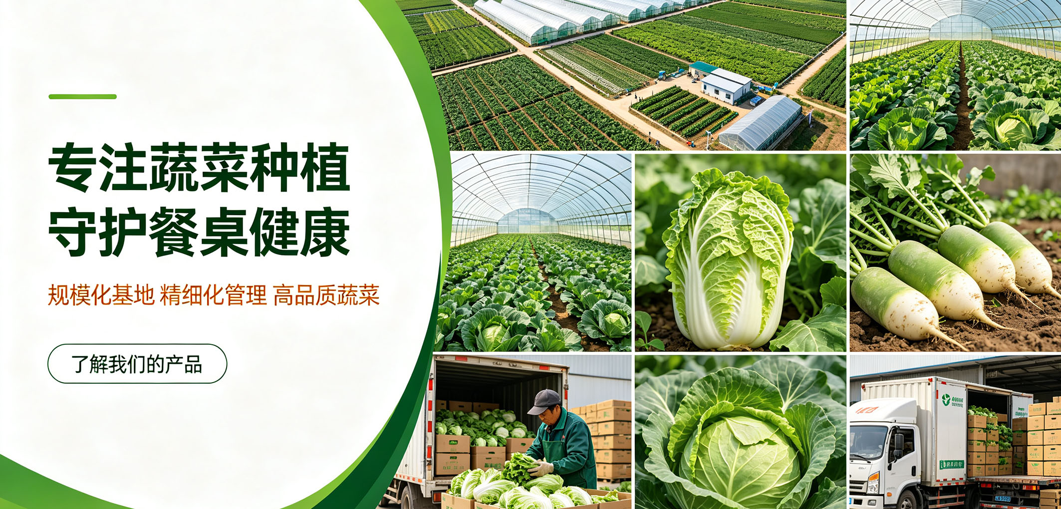 暂无图片