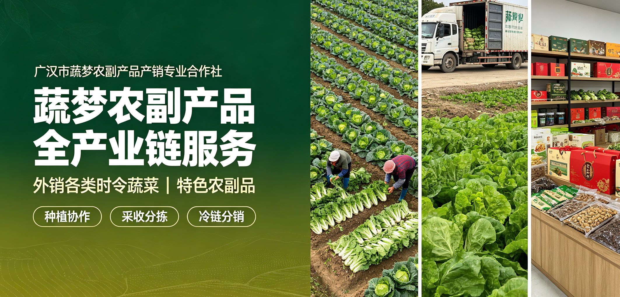 暂无图片