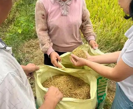 德阳农业产业平台——德阳人大：为守好“粮仓”端稳“饭碗”保驾护航