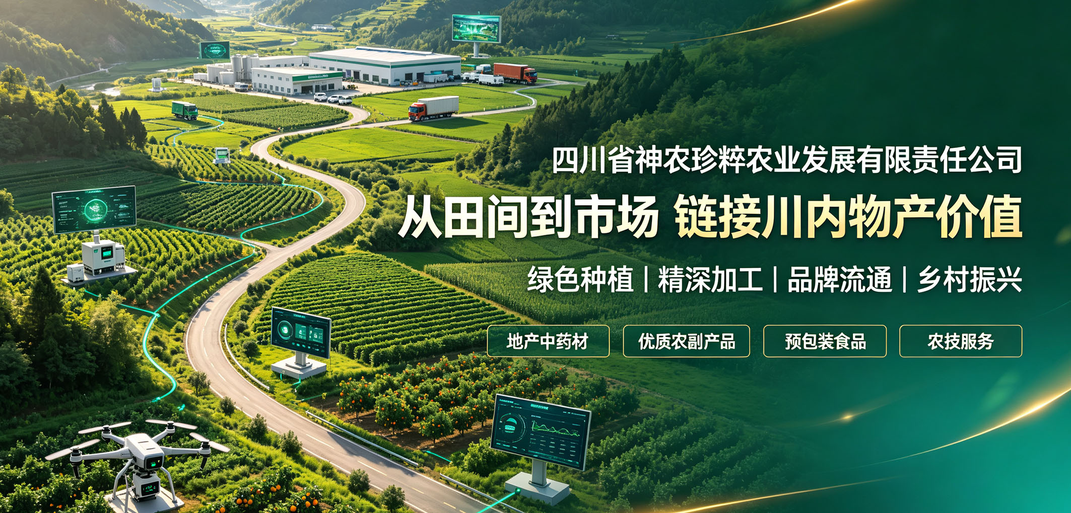 暂无图片