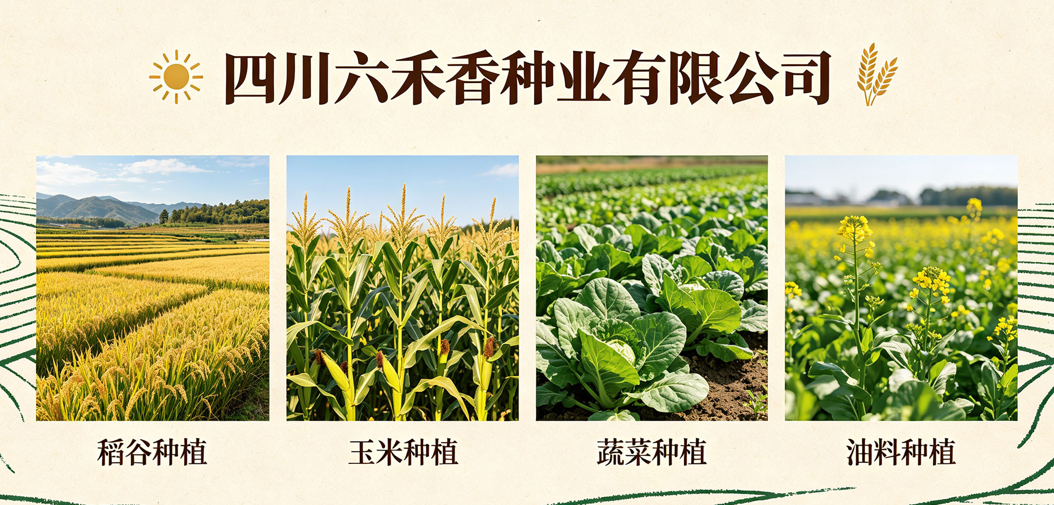 暂无图片