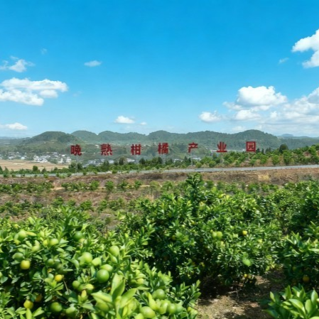 德阳农业产业平台——四川德阳携手“川农大”推动种植产业智慧化高质量发展