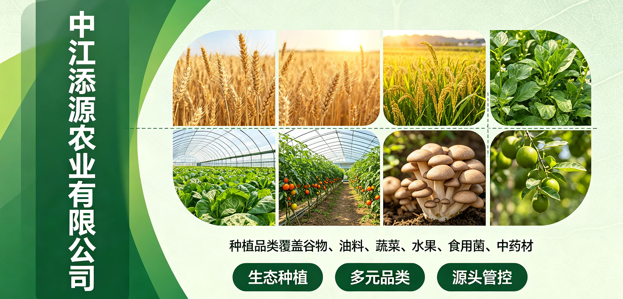 暂无图片