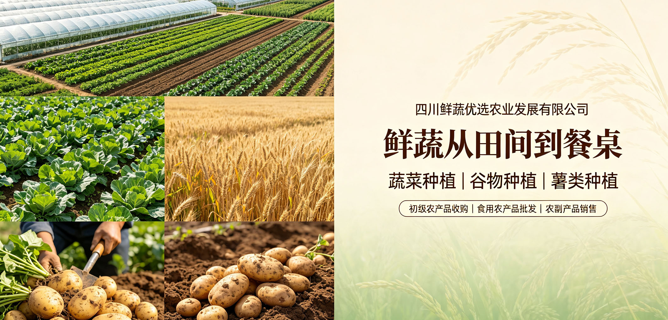暂无图片