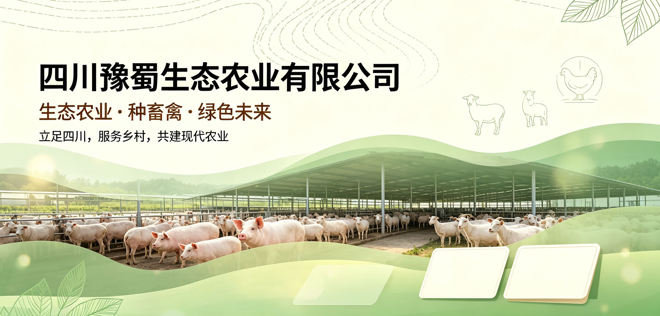 暂无图片