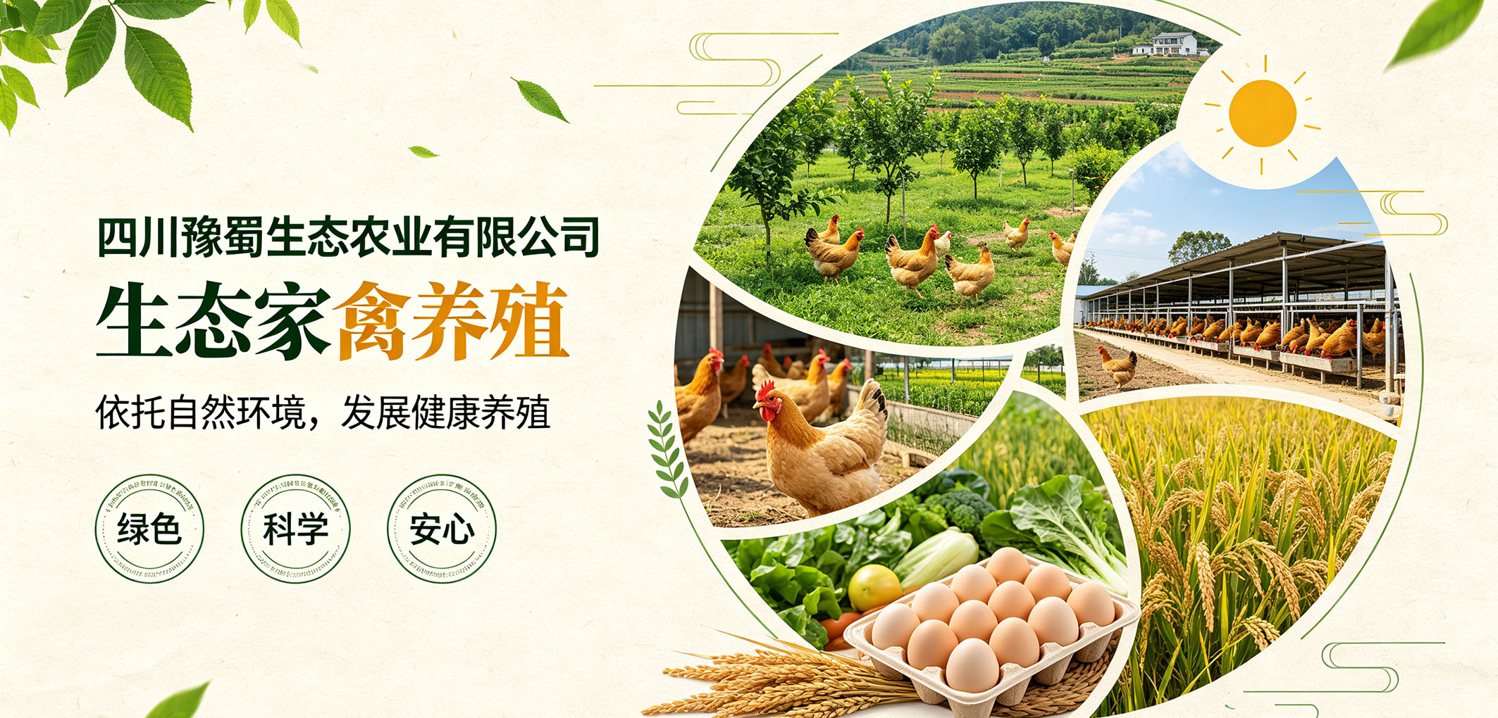 暂无图片