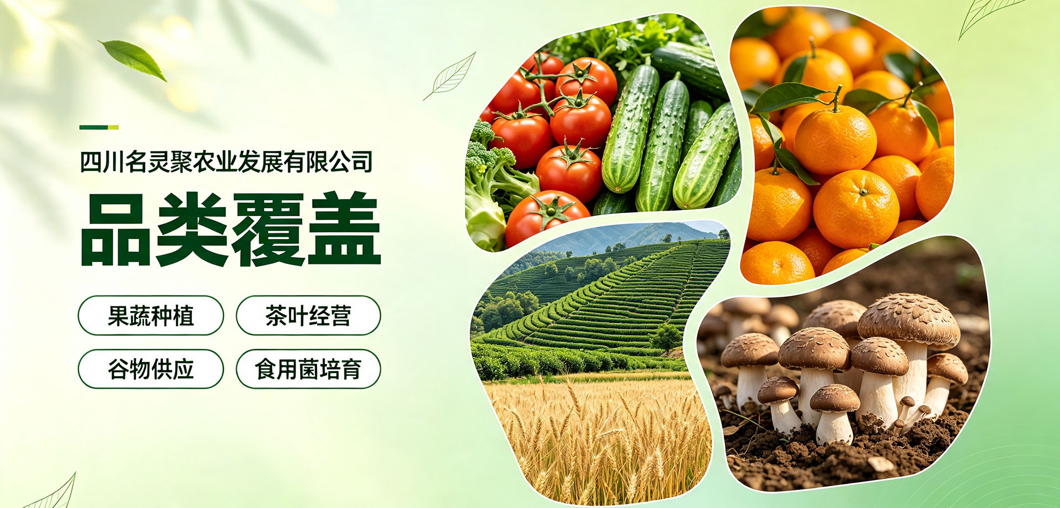 暂无图片
