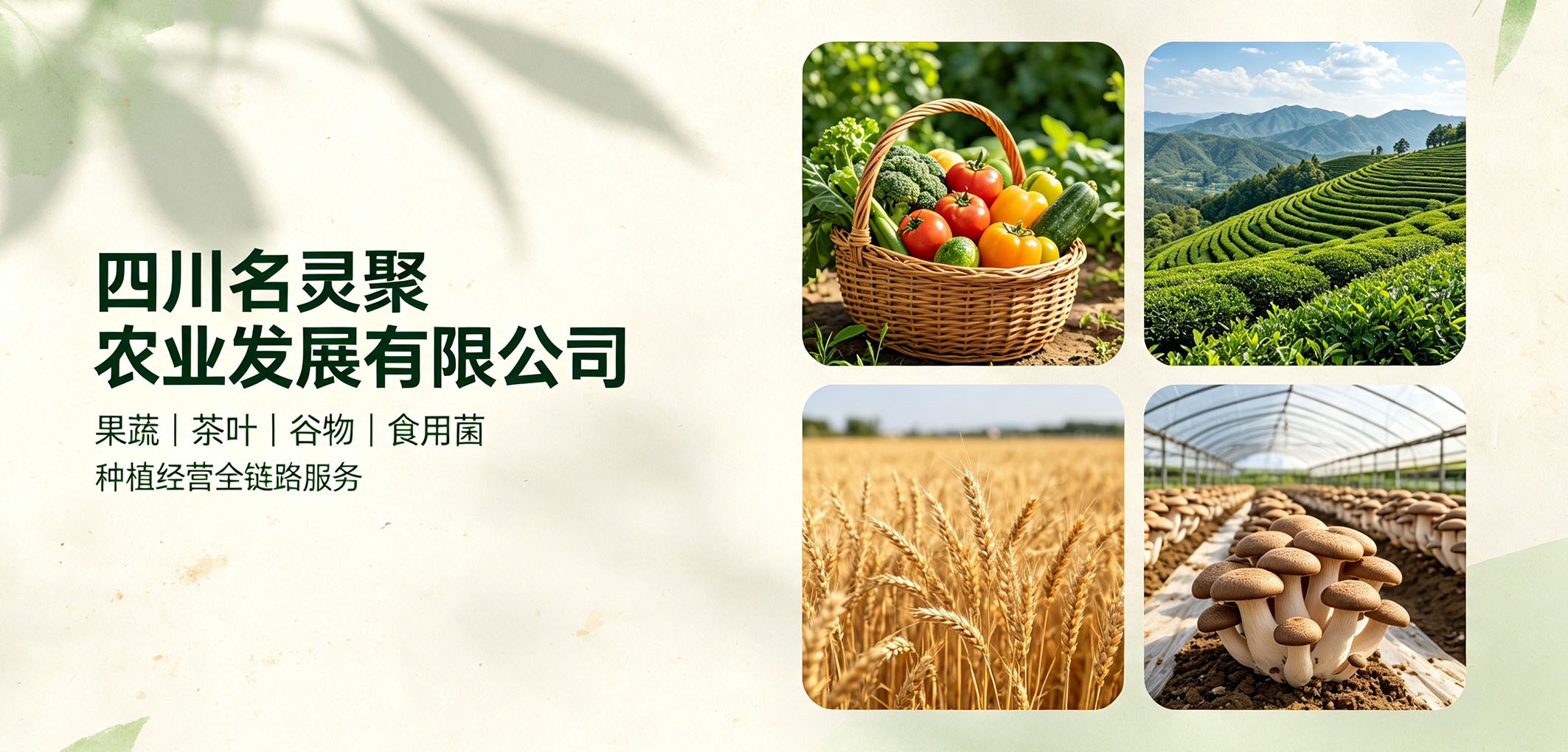 暂无图片