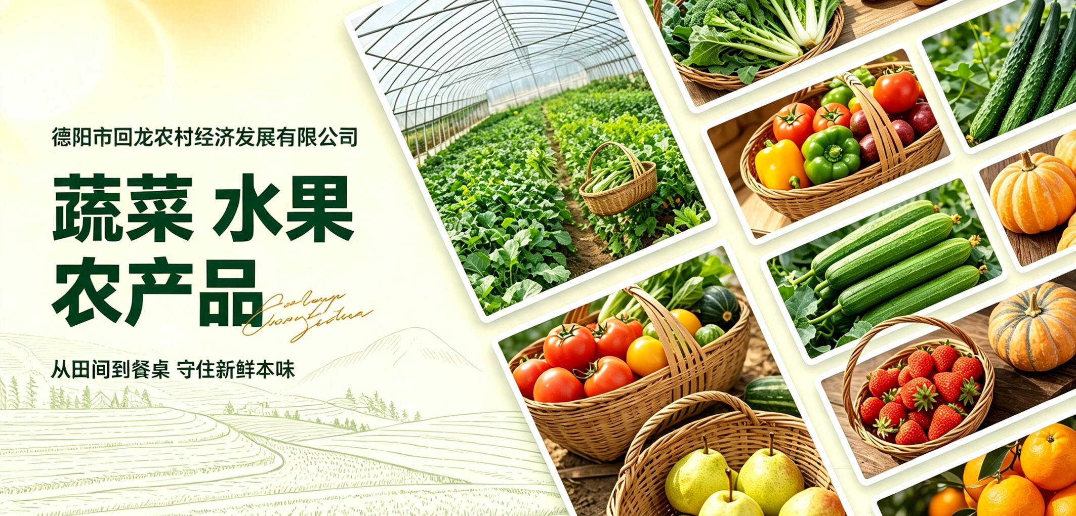 暂无图片