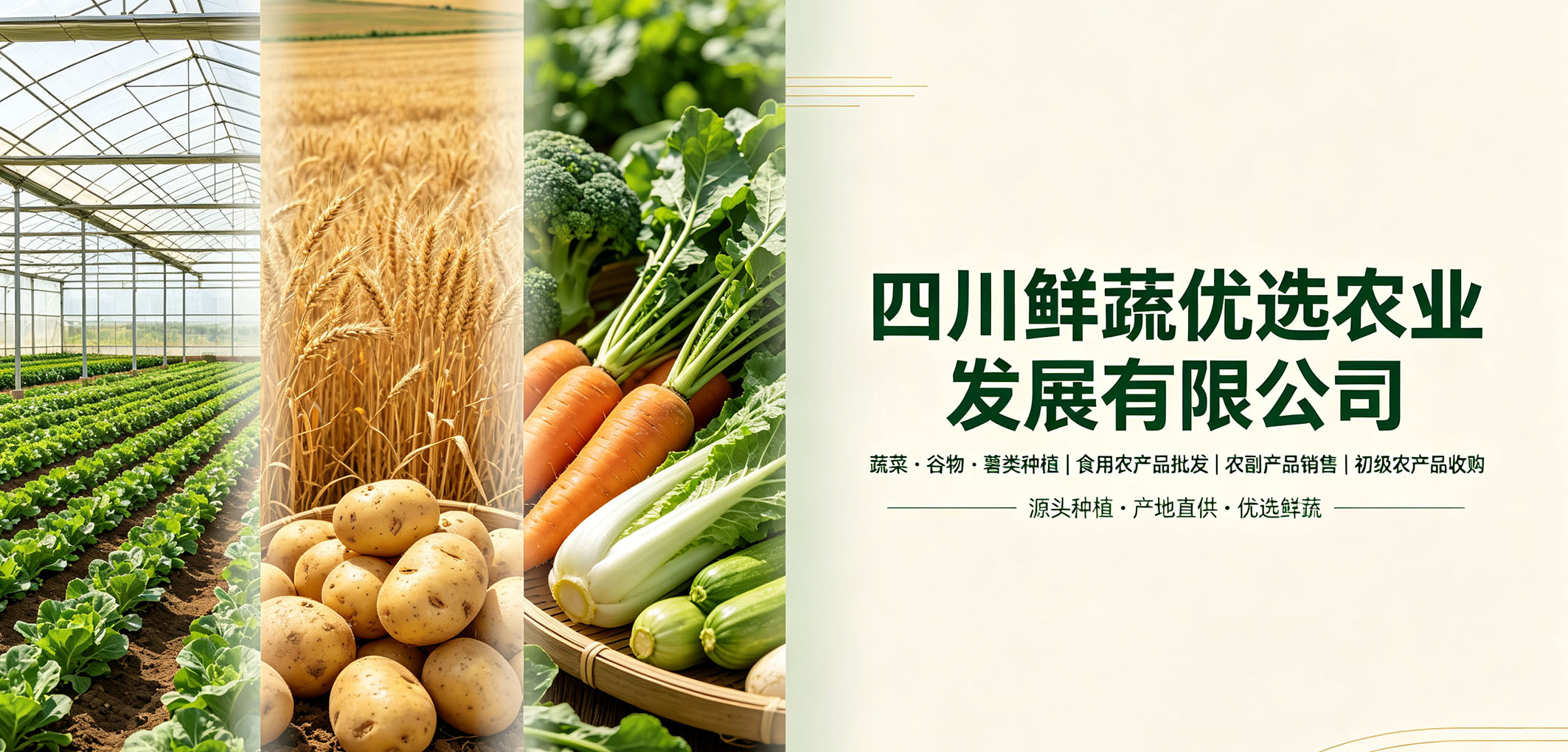 暂无图片