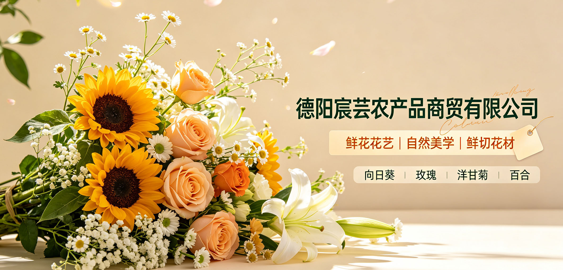 暂无图片