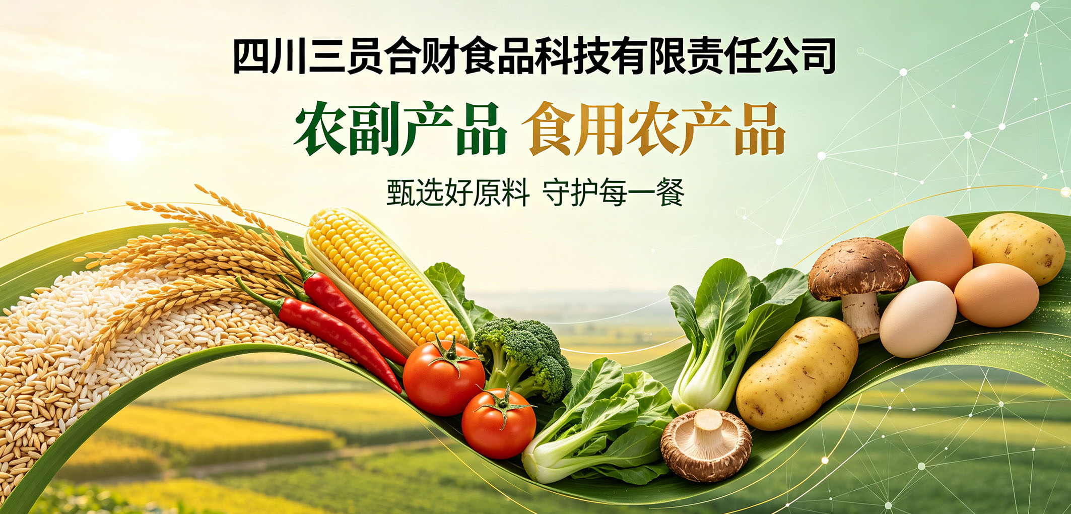 暂无图片