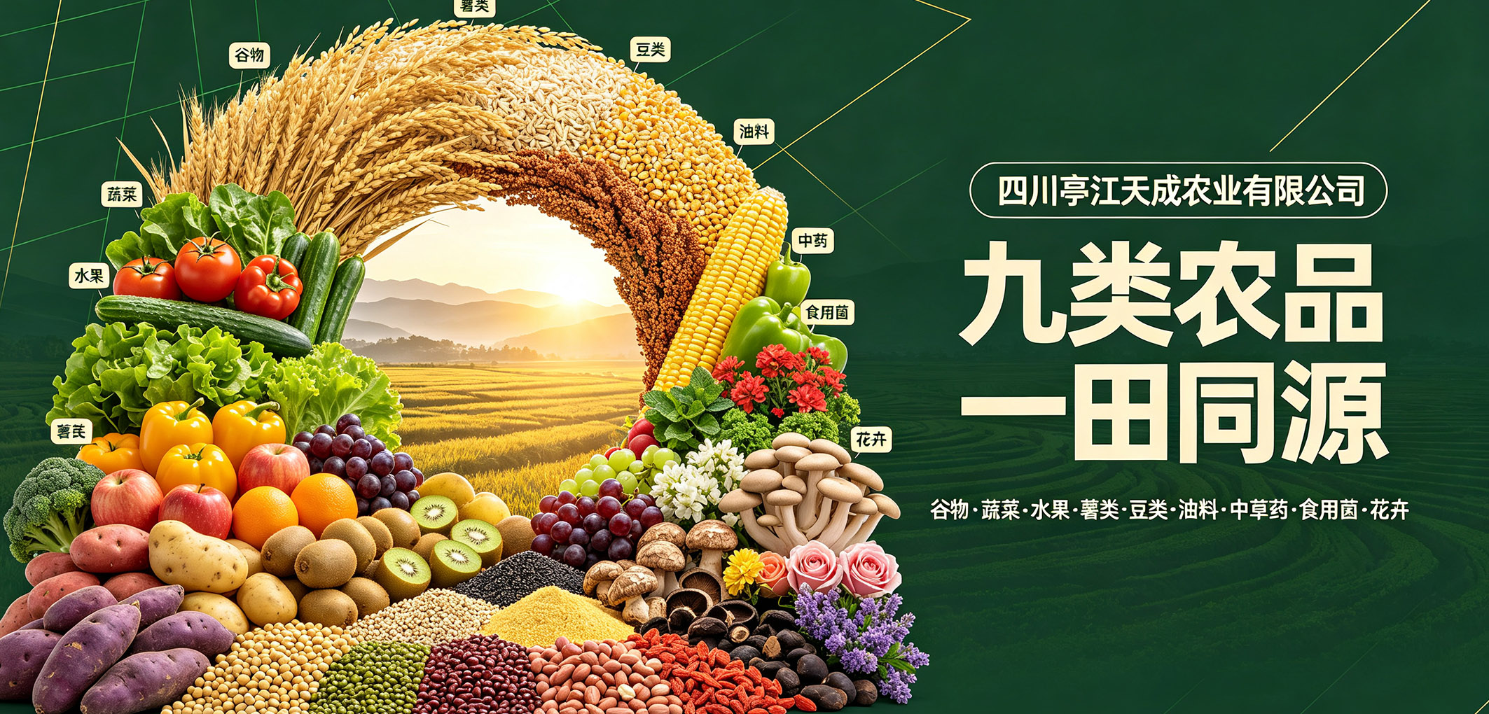 暂无图片