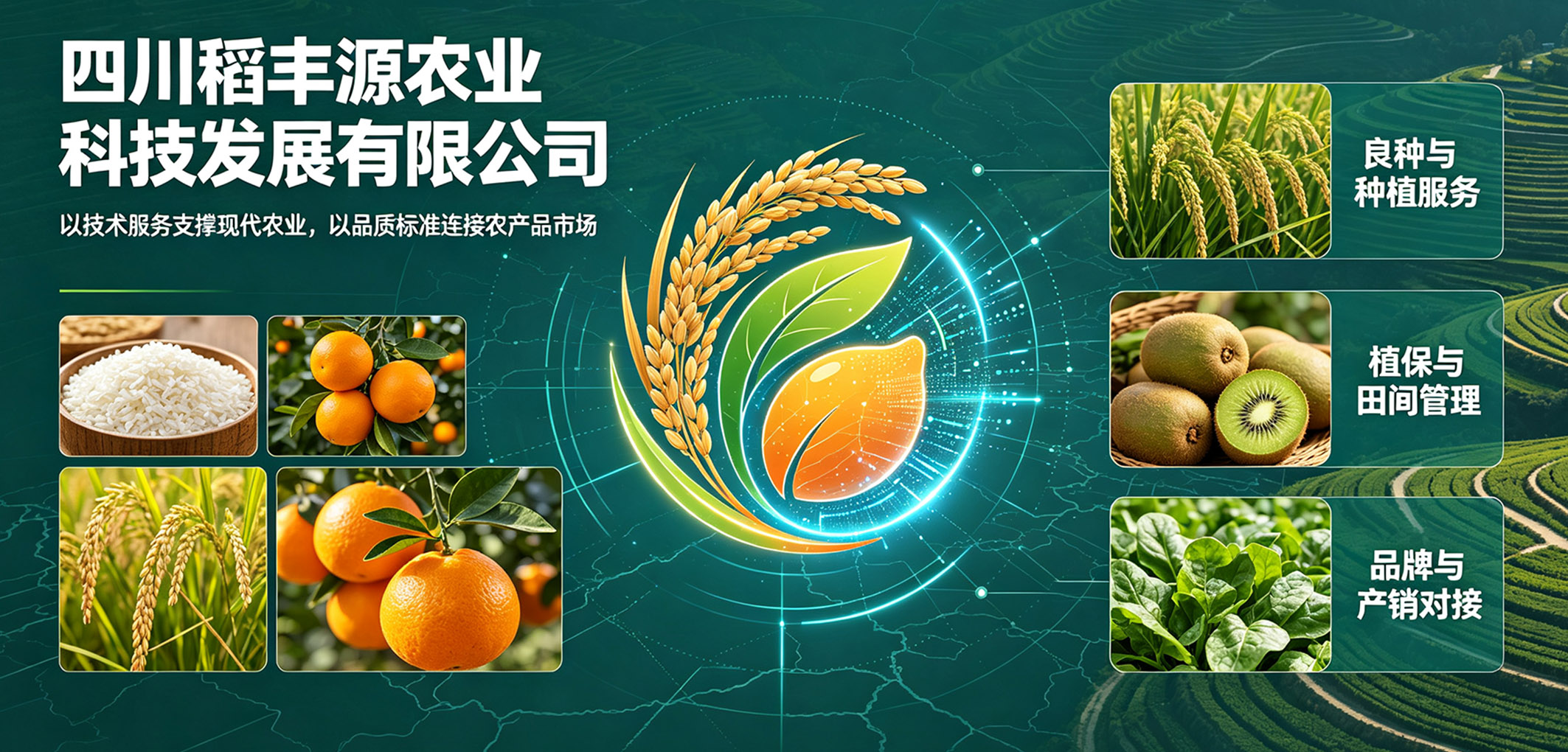 暂无图片