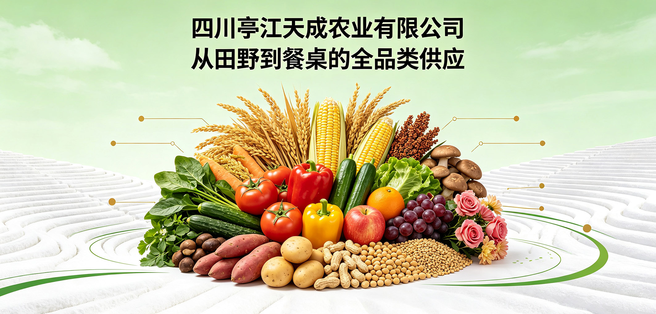 暂无图片