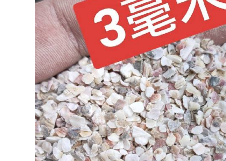 贝壳