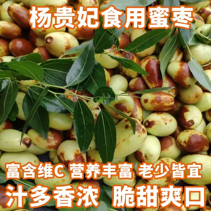 罗江贵妃枣礼盒装25年正宗德阳罗江特产现摘现发大果罗江顺丰包邮